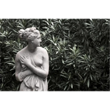 Gazing in the Garden Art