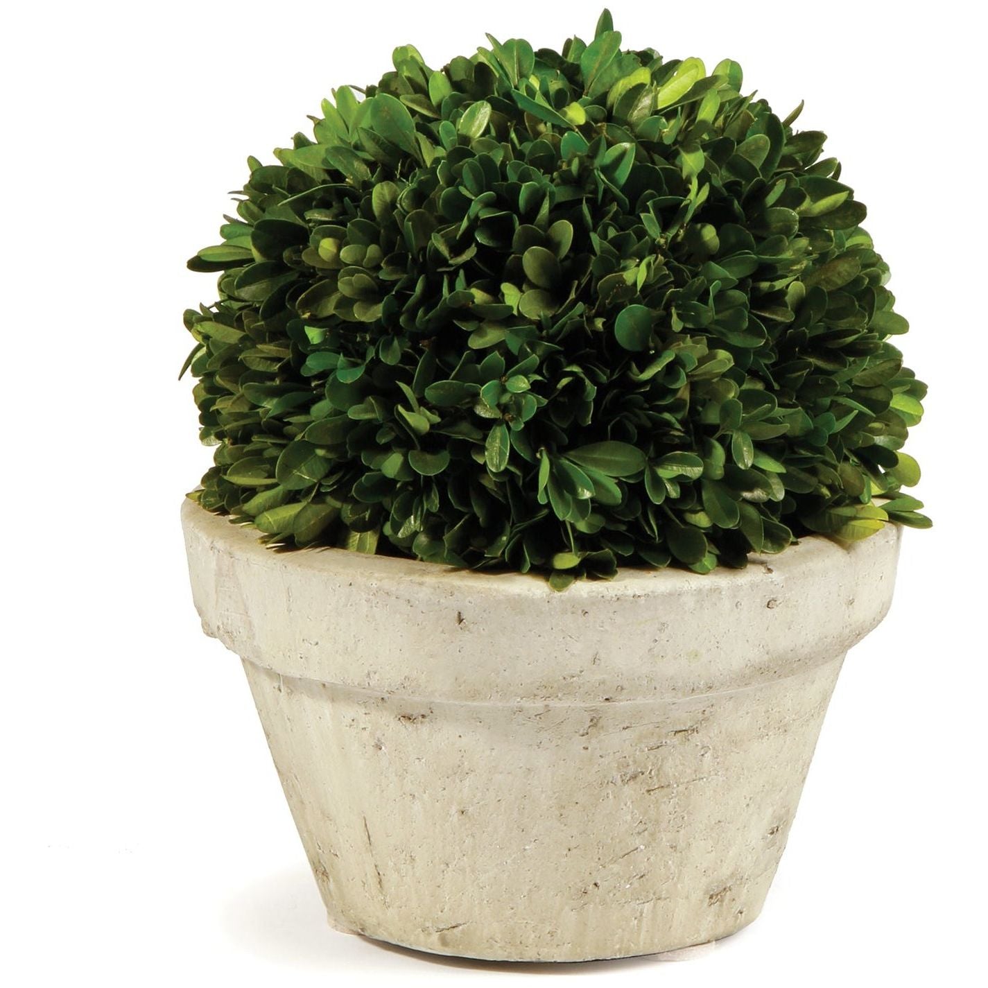 Boxwood Ball In Pot Large Napa Home & Garden