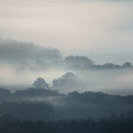 Featuring Ethereal Mist Art by Leftbank Art at Amethyst Home. Finish : LinenFrame :  BuffImage Size : 40.00 in x 40.00 inOverall Size : 41.25 in x 41.25 inSubstrate : Linen ArtArtist : David Keochkerian Framed as shown. Amethyst Home provides interior design, new construction, custom furniture, and area rugs in the Boston metro area