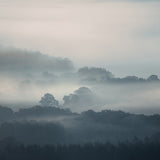 Featuring Ethereal Mist Art by Leftbank Art at Amethyst Home. Finish : LinenFrame :  BuffImage Size : 40.00 in x 40.00 inOverall Size : 41.25 in x 41.25 inSubstrate : Linen ArtArtist : David Keochkerian Framed as shown. Amethyst Home provides interior design, new construction, custom furniture, and area rugs in the Boston metro area