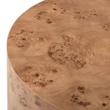 Featuring Caya Caramel Burl Coffee Table by Four Hands at Amethyst Home. Simple drum shaping showcases the natural artistry of the richly grained caramel burl veneer. Its compact size is ideal for smaller spaces.
Overall Dimensions: 31.5" L x 31.5 " W x 13.75" H
Collection: HughesColors: Caramel BurlMaterials: Light Maple Veneer, Poplar PlywoodWeight: 44.09. Amethyst Home provides interior design, new home construction design consulting, vintage area rugs, and lighting in the Charlotte metro area.