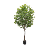 Dense foliage and high-quality construction shape the branches and leaves of this faux aralia tree, for a realistic look that's designed for easy living. Ships in a black plastic liner pot. For indoor use only Amethyst Home provides interior design, new home construction design consulting, vintage area rugs, and lighting in the Calabasas metro area.