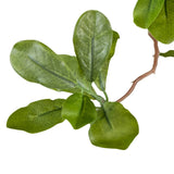 Dense foliage and high-quality construction shape the branches and leaves of this faux aralia tree, for a realistic look that's designed for easy living. Ships in a black plastic liner pot. For indoor use only Amethyst Home provides interior design, new home construction design consulting, vintage area rugs, and lighting in the Dallas metro area.