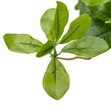 Dense foliage and high-quality construction shape the branches and leaves of this faux aralia tree, for a realistic look that's designed for easy living. Ships in a black plastic liner pot. For indoor use only Amethyst Home provides interior design, new home construction design consulting, vintage area rugs, and lighting in the Portland metro area.