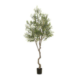 Dense foliage and high-quality construction shape the branches and leaves of this faux fruitless olive tree, for a realistic look that's designed for easy living. Ships in a black plastic liner pot. For indoor use only Amethyst Home provides interior design, new home construction design consulting, vintage area rugs, and lighting in the Charlotte metro area.