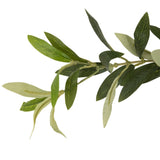 Dense foliage and high-quality construction shape the branches and leaves of this faux fruitless olive tree, for a realistic look that's designed for easy living. Ships in a black plastic liner pot. For indoor use only Amethyst Home provides interior design, new home construction design consulting, vintage area rugs, and lighting in the Salt Lake City metro area.