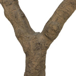 Dense foliage and high-quality construction shape the branches and leaves of this faux fruitless olive tree, for a realistic look that's designed for easy living. Ships in a black plastic liner pot. For indoor use only Amethyst Home provides interior design, new home construction design consulting, vintage area rugs, and lighting in the Laguna Beach metro area.