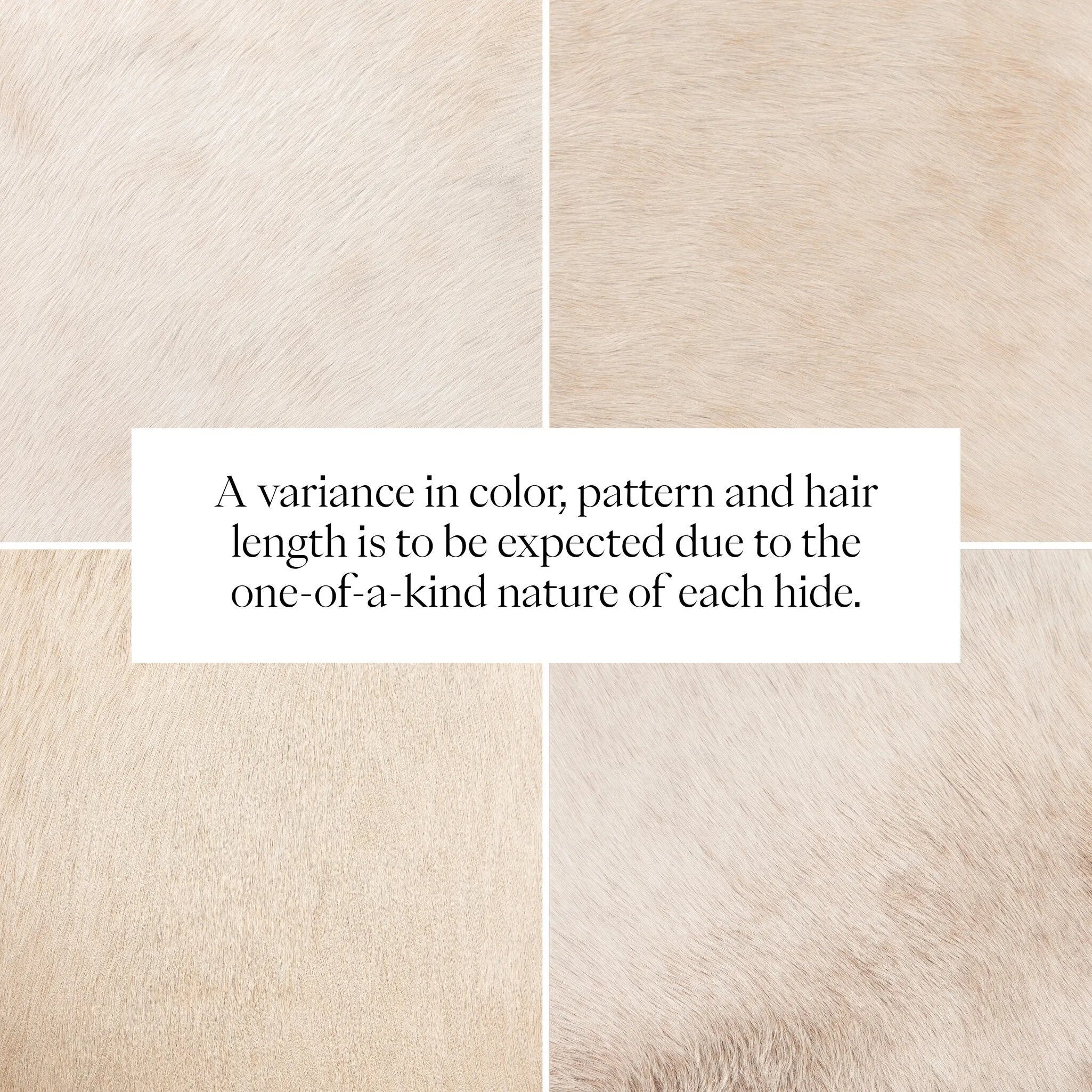 Make your space stand out with a unique accent bench of solid oak and hair on hide. Reflective of hides' one-of-a-kind nature, a variance in coloring, pattern and hair length is to be expected Amethyst Home provides interior design, new home construction design consulting, vintage area rugs, and lighting in the Tampa metro area.