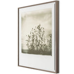 Austin, Texas-based Darden Smith’s multi-media practice encompasses music, photography, illustration, video and printmaking