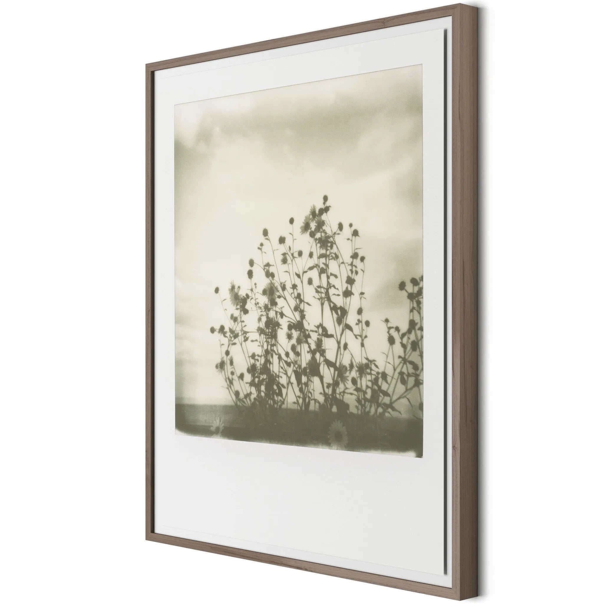 Austin, Texas-based Darden Smith’s multi-media practice encompasses music, photography, illustration, video and printmaking