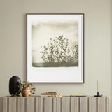 Austin, Texas-based Darden Smith’s multi-media practice encompasses music, photography, illustration, video and printmaking