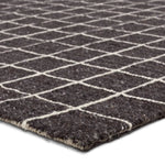 Featuring Oxford Club Rug by Jaipur Living at Amethyst Home. Elegant and casual in the same moment, the Oxford Club by Barclay Butera introduces handwoven accents to an array of spaces. This bolder and darker black colorway complements a range of palettes and styles, perfectly paired for modern and traditional homes alike. The Club design features a grid . Amethyst Home provides interior design, new home construction design consulting, vintage area rugs, and lighting in the Los Angeles metro area.