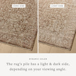 Featuring Newman Bark / Natural Rug by Loloi at Amethyst Home. The Newman Collection is a power-loomed area rug made of soft space-dyed polyester, which lends a subtle gradation of color in an easy-to-clean, no-shed construction. The versatile, vintage-inspired design features distressed white motifs against lovely and light tonal backgrounds. The Newman Co. Amethyst Home provides interior design, new home construction design consulting, vintage area rugs, and lighting in the Park City metro area.