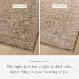 Featuring Newman Bark / Natural Rug by Loloi at Amethyst Home. The Newman Collection is a power-loomed area rug made of soft space-dyed polyester, which lends a subtle gradation of color in an easy-to-clean, no-shed construction. The versatile, vintage-inspired design features distressed white motifs against lovely and light tonal backgrounds. The Newman Co. Amethyst Home provides interior design, new home construction design consulting, vintage area rugs, and lighting in the Park City metro area.