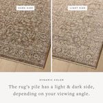 Featuring Newman Dark Taupe / Natural Rug by Loloi at Amethyst Home. The Newman Collection is a power-loomed area rug made of soft space-dyed polyester, which lends a subtle gradation of color in an easy-to-clean, no-shed construction. The versatile, vintage-inspired design features distressed white motifs against lovely and light tonal backgrounds. The New. Amethyst Home provides interior design, new home construction design consulting, vintage area rugs, and lighting in the Nashville metro area.