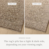 Featuring Newman Dark Taupe / Natural Rug by Loloi at Amethyst Home. The Newman Collection is a power-loomed area rug made of soft space-dyed polyester, which lends a subtle gradation of color in an easy-to-clean, no-shed construction. The versatile, vintage-inspired design features distressed white motifs against lovely and light tonal backgrounds. The New. Amethyst Home provides interior design, new home construction design consulting, vintage area rugs, and lighting in the Nashville metro area.