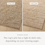 Featuring Newman Wheat / Natural Rug by Loloi at Amethyst Home. The Newman Collection is a power-loomed area rug made of soft space-dyed polyester, which lends a subtle gradation of color in an easy-to-clean, no-shed construction. The versatile, vintage-inspired design features distressed white motifs against lovely and light tonal backgrounds. The Newman C. Amethyst Home provides interior design, new home construction design consulting, vintage area rugs, and lighting in the Park City metro area.