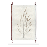 Wheat Form