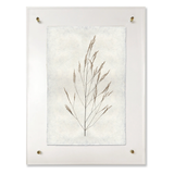 Wheat Form