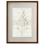 Wheat Form