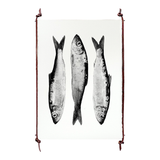 Three Herring