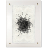 Nest Study #2