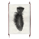Feather Study #10