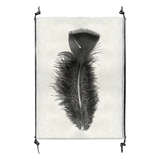 Feather Study #10