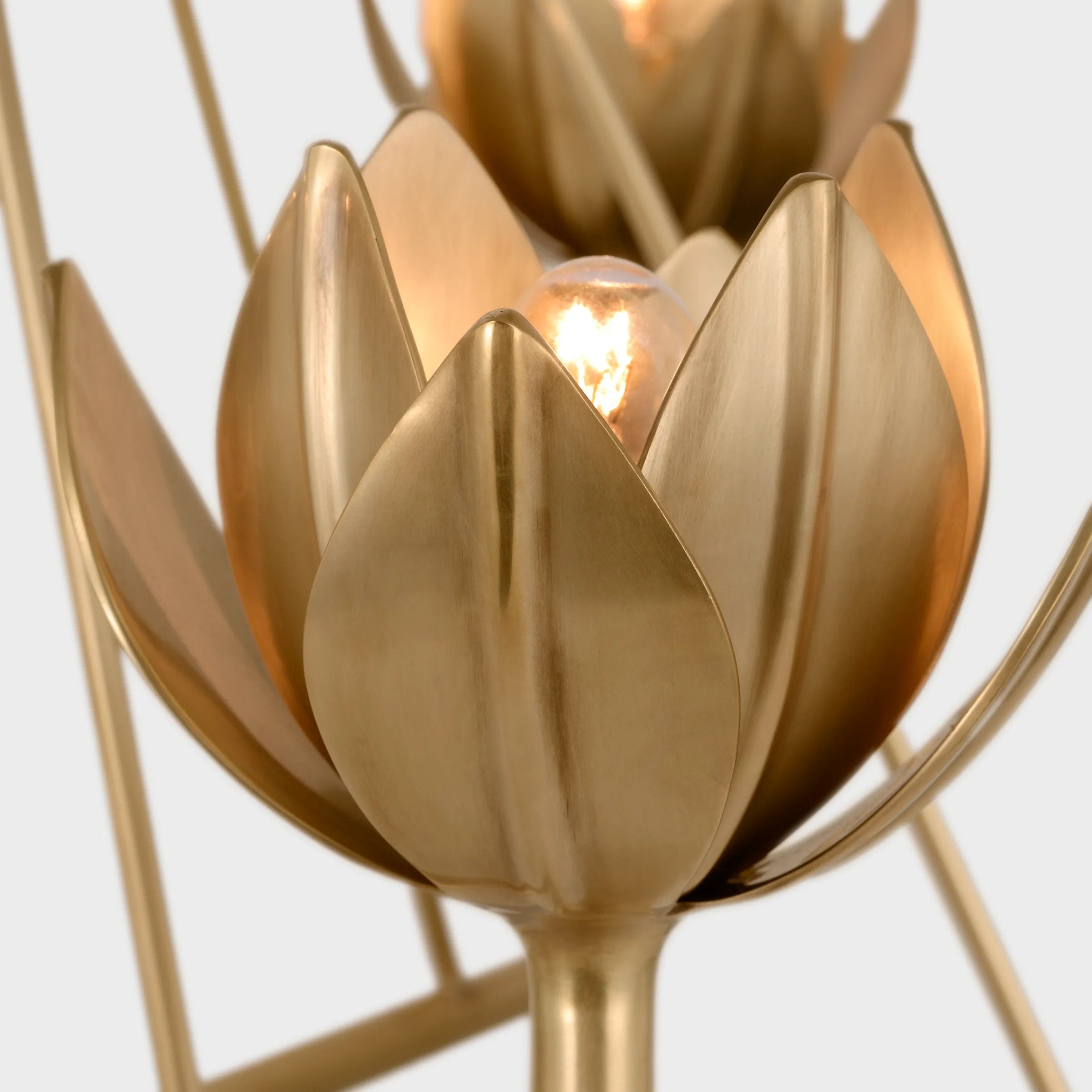 Featuring Alberto Large Single Tier Chandelier by Visual Comfort at Amethyst Home. The Alberto Large Single Tier Chandelier by Visual Comfort has gorgeous, thin arms with a stunning flower placed atop each head. This gives a unique, bright look to any dining room, living room, or other large area.
Overall Dimensions: 40" L x 40" W x 46.75" H. Amethyst Home provides interior design, new home construction design consulting, vintage area rugs, and lighting in the Seattle metro area.