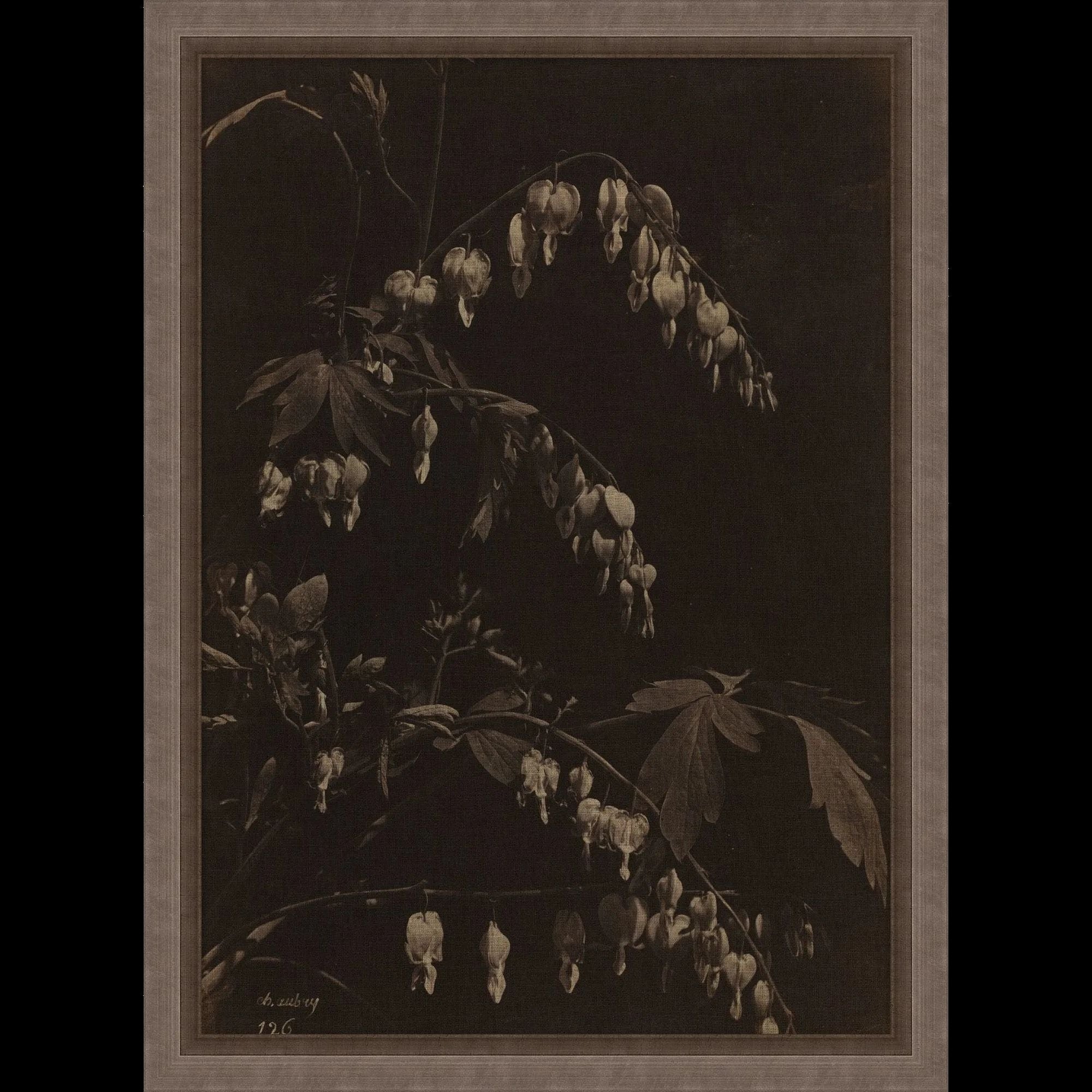 Featuring A Bleeding Heart Art by Wendover Art at Amethyst Home. Discover the poetic beauty of A Bleeding Heart Art. Elevate your space with this striking piece, crafted with a timeless sophistication. Let its artistry evoke emotion in your home, or gift it to a loved one as a symbol of passion and love. A true masterpiece for any art connoisseur.
Specialty:. Amethyst Home provides interior design, new home construction design consulting, vintage area rugs, and lighting in the Monterey metro area.