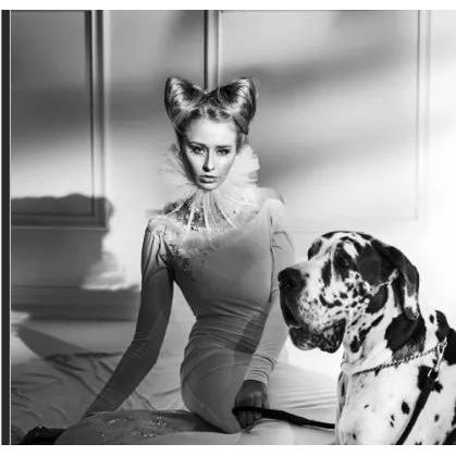 Featuring Deville Art by Wendover Art at Amethyst Home. Deville Art features stunning artwork that will elevate any space. With its exquisite designs and high-quality materials, this collection is perfect for art enthusiasts and interior designers alike. Let Deville Art bring beauty and sophistication to your home or office.
Specialty: Giclee on Matte Paper. Amethyst Home provides interior design, new home construction design consulting, vintage area rugs, and lighting in the Calabasas metro area.