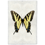 Butterfly #3 - Amethyst Home