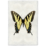 Butterfly #3 - Amethyst Home