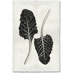 Swiss Chard - Amethyst Home