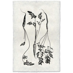 Three Carrots - Amethyst Home