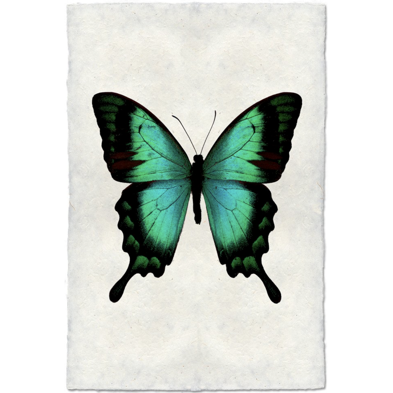 Butterfly #1 - Amethyst Home