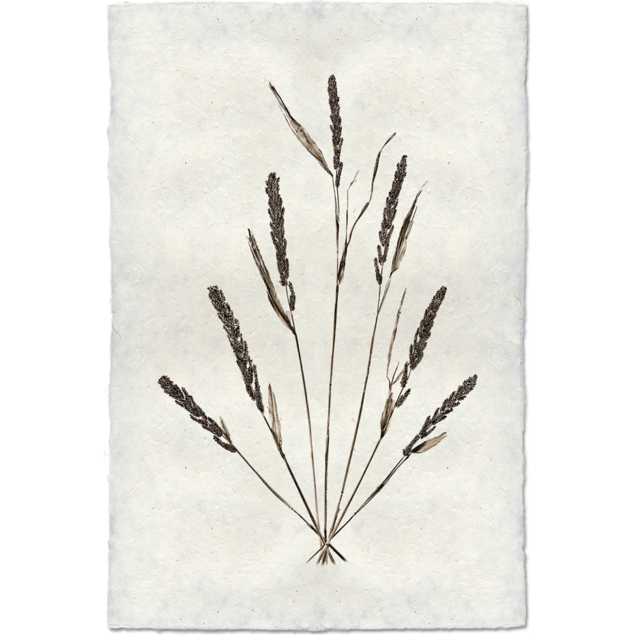 Grain Form - Amethyst Home