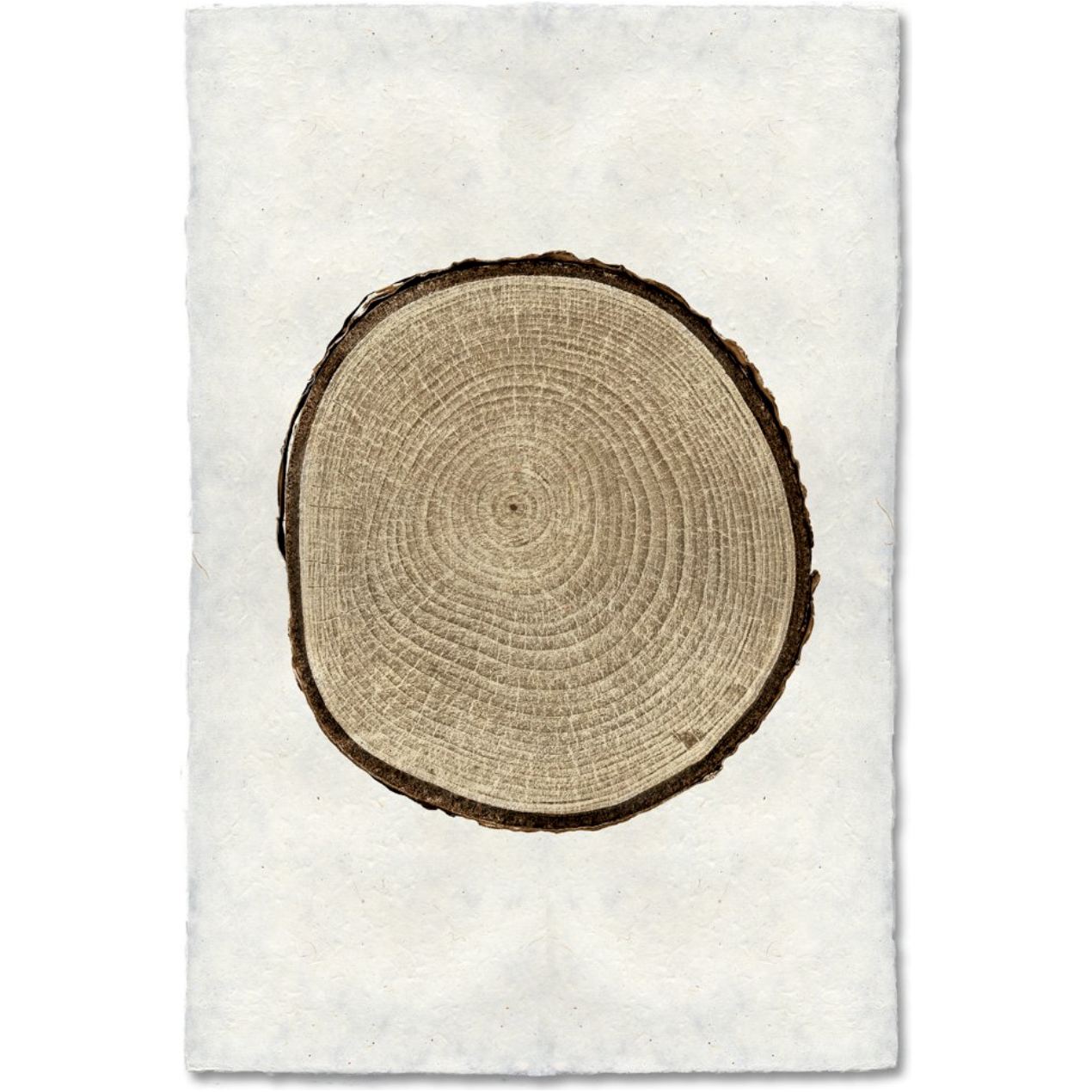 Birch - Amethyst Home