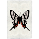 Butterfly #9 - Amethyst Home