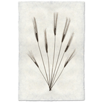 Wheat Form #2 - Amethyst Home