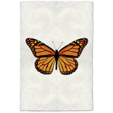 Butterfly #13 - Amethyst Home