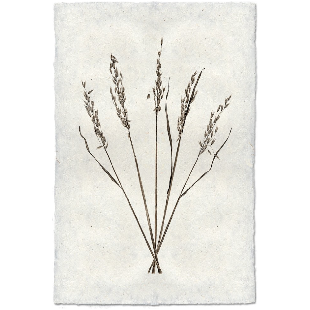 This Oat Form is made from raw edge handmade paper from Nepal. Hang in your kitchen, living room, or bedroom to bring the space some organic, raw character! Fine art prints Pencil signature