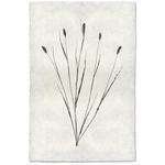 Canary Grass Form - Amethyst Home