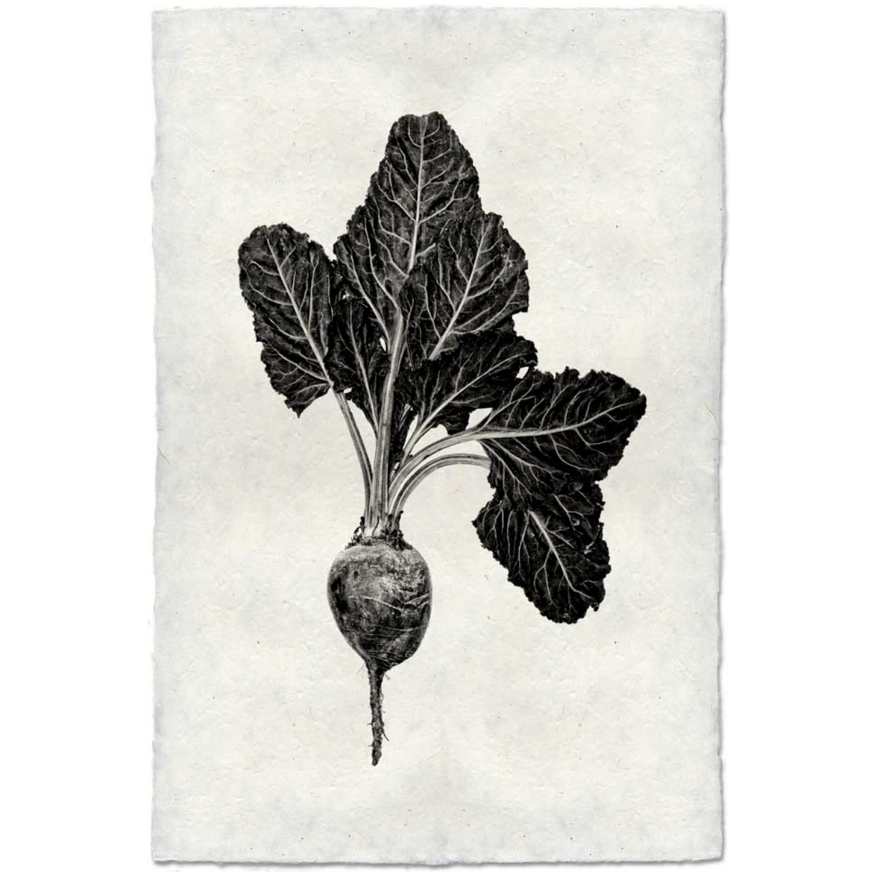 Red Beet - Amethyst Home