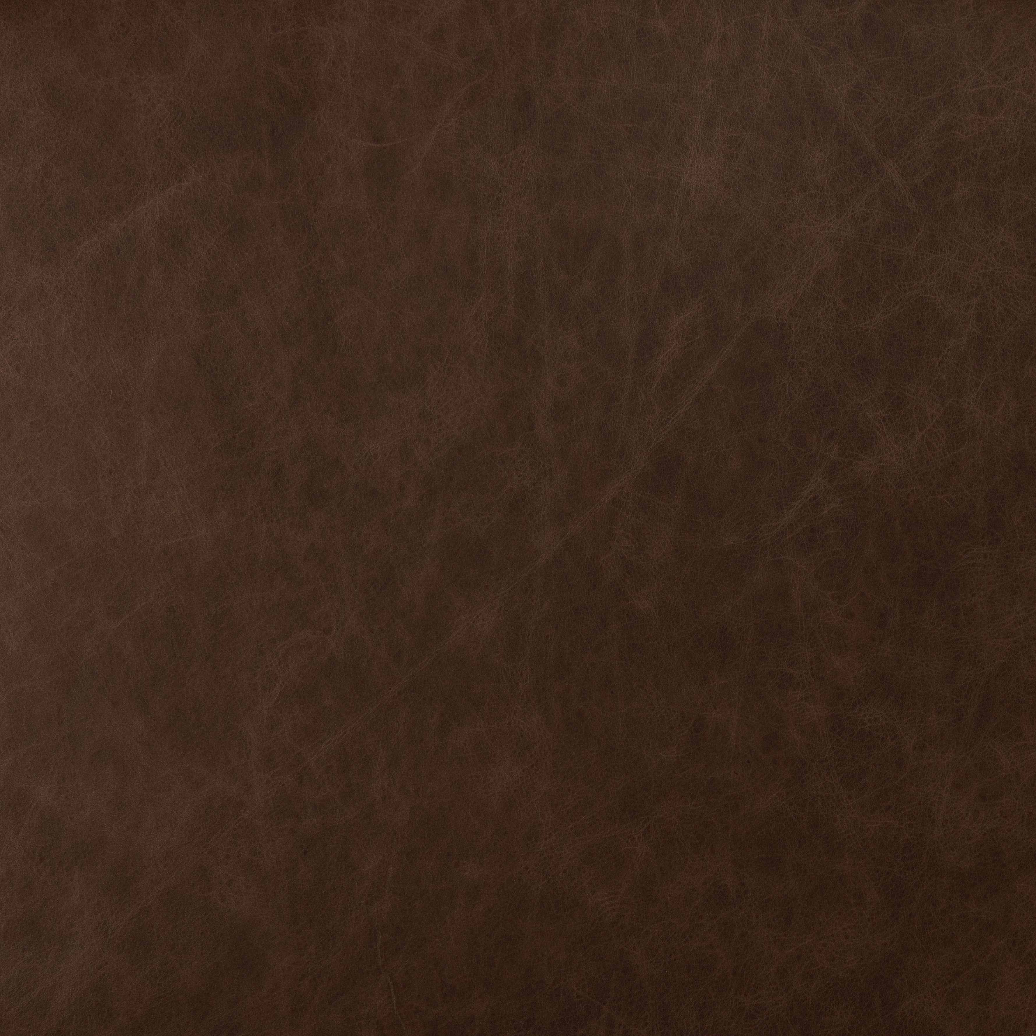 Featuring Amare Sonoma Coco Dining Chair by Four Hands at Amethyst Home. Inspired by clean, simple Scandinavian styling, soli