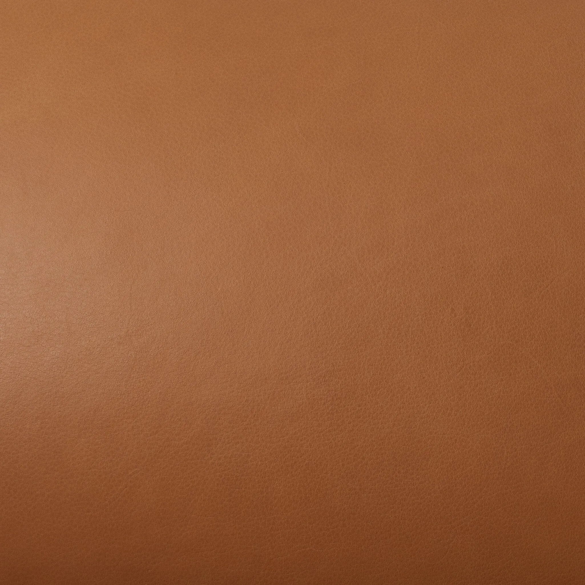 Featuring Eisley Trevino Camel Accent Chair by Four Hands at Amethyst Home. Sleek and inviting, this wood-meets-leather arm chair is timeless in any context. Large cylindrical legs support the upholstered back and seat, which are covered in camel-colored top-grain leather. Spring suspension adds comfort and durability to the seat cushion.
Collection: Carne. Amethyst Home provides interior design, new home construction design consulting, vintage area rugs, and lighting in the Scottsdale metro area.