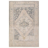 Featuring Lumal Pasain Rug by Jaipur Living at Amethyst Home. Distressed, vintage designs offer an elevated tone for the Lumal Collection. The Pasin rug features an updated traditional inspired medallion and multiple floral borders in tones of navy, light green, cream, gray, and tan. This machine washable rug is stain resistant and easy to clean, perfect for . Amethyst Home provides interior design, new home construction design consulting, vintage area rugs, and lighting in the Houston metro area.