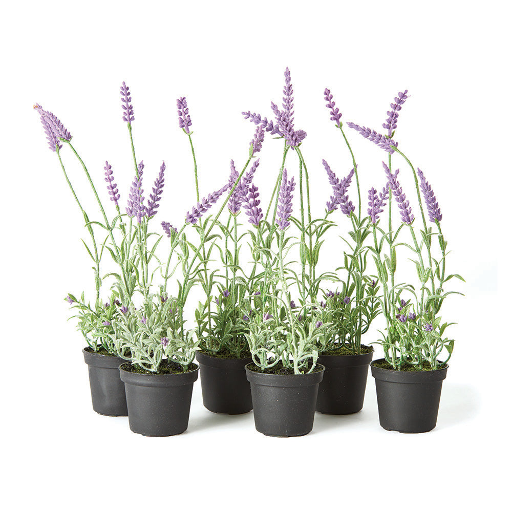 From the mini growers pot to the tone and texture of each leaf, our herbs are 100% realistic. All that's missing is the maintenance. Amethyst Home provides interior design, new construction, custom furniture, and area rugs in the Austin metro area.