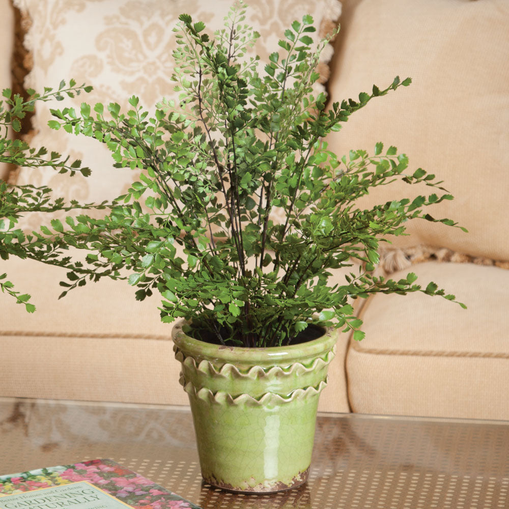 100% realistic- a perfect copy of your favorite greens. These drop-ins are no-hassle works of art. Right down to the carefully crafted root ball, just as nature designed. Amethyst Home provides interior design, new construction, custom furniture, and area rugs in the Los Angeles metro area.