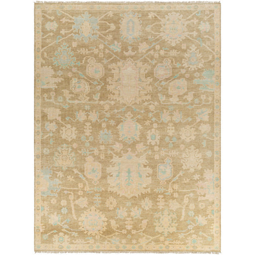 Featuring Antalya Taupe / Blush Hand-Knotted Rug by Surya at Amethyst Home. The Antalya Rug Collection showcases traditional inspired designs that exemplify timeless styles of elegance, comfort, and sophistication. With their hand knotted construction, these rugs provide a durability that can not be found in other handmade constructions, and boasts the ability to be thoroughly cleaned as it . Amethyst Home provides interior design, new construction, custom furniture, and rugs for Tampa metro area.
